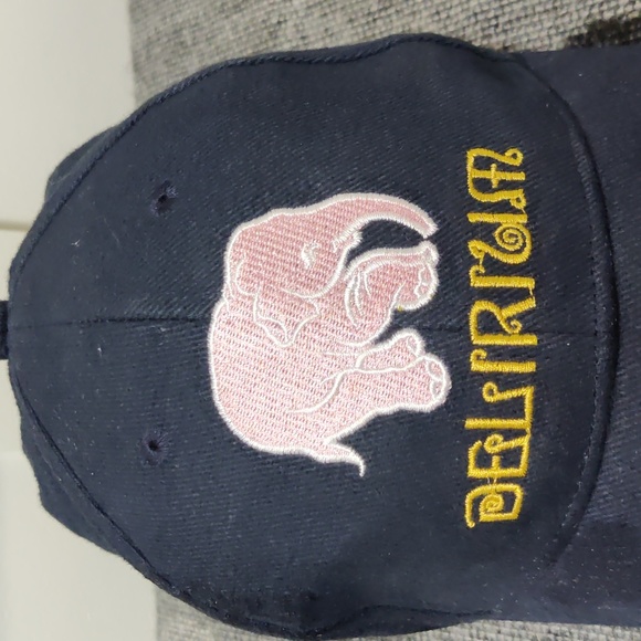 Delirium Baseball Hat - Picture 2 of 6